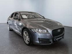 Grau Gebraucht 2017 Jaguar XF Portfolio Limousine | 13.390 € (Superpreis)