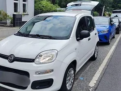 Weiß Gebraucht 2017 Fiat Panda Cross Cross Kleinwagen | 9.500 € (Guter Preis)