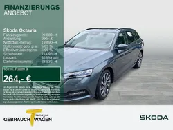 Grau Gebraucht 2021 Skoda Octavia Ambition Kombi | 20.880 € (Guter Preis)