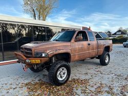 Braun Gebraucht 2001 Dodge Ram Abholung | 12.999 €