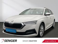 Candy weiss Gebraucht 2023 Skoda Octavia Ambition Kombi | 24.480 € (Guter Preis)