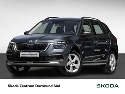 Grau Gebraucht 2020 Skoda Kamiq SUV | 16.785 € (Guter Preis)