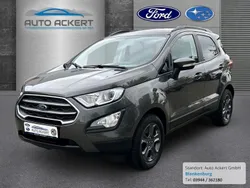 Grau Gebraucht 2019 Ford Ecosport Cool & Connect SUV | 13.490 € (Guter Preis)