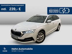 Weiß Gebraucht 2023 Skoda Octavia Ambition Kombi | 25.990 € (Fairer Preis)