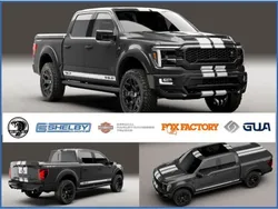 Grau Neu 2024 Ford Shelby SUV | 189.900 €