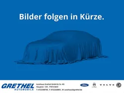 Frostweiß Gebraucht 2023 Ford Transit Trend Limousine | 31.990 € (Etwas zu teuer)