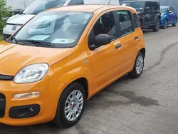 Orange Gebraucht 2019 Fiat Panda Easy Kleinwagen | 8.990 € (Guter Preis)