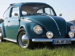 Grün Gebraucht 1969 VW Käfer Limousine | 18.500 €