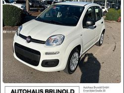 Weiß Neu 2025 Fiat Panda Icon Kleinwagen | 16.900 € (Etwas zu teuer)