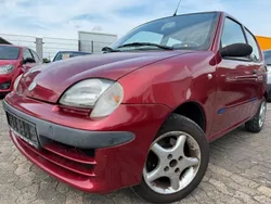 Rot Gebraucht 2002 Fiat Seicento Kleinwagen | 690 € (Guter Preis)
