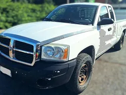 Weiß Gebraucht 2005 Dodge Dakota | 6.000 €