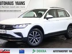 Weiß Gebraucht 2020 VW Tiguan Life SUV | 23.989 € (Guter Preis)