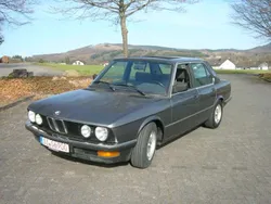 Delphin Gebraucht 1986 BMW 520 Limousine | 4.990 €