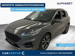 Grau Gebraucht 2020 Ford Kuga ST-Line X SUV | 20.595 € (Etwas zu teuer)