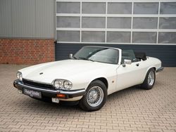 Weiß Gebraucht 1991 Jaguar XJS Cabrio | 33.900 €