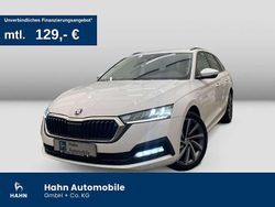 Candyweiss Gebraucht 2022 Skoda Octavia Ambition Kombi | 19.790 € (Fairer Preis)