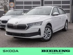Candy weiss Neu 2025 Skoda Octavia Essence Kombi | 31.490 € (Fairer Preis)