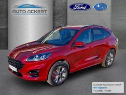 Rot Gebraucht 2024 Ford Kuga ST-Line X SUV | 35.990 € (Etwas zu teuer)