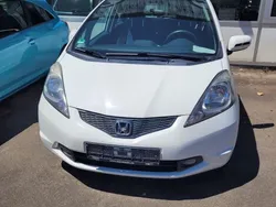 Weiß Gebraucht 2010 Honda Jazz Trend Kleinwagen | 3.500 € (Guter Preis)