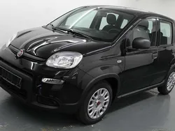 Schwarz Gebraucht 2023 Fiat Panda Kleinwagen | 13.990 € (Fairer Preis)