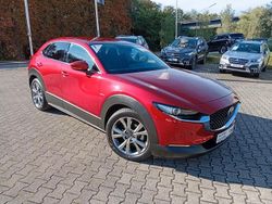 Rot Gebraucht 2019 Mazda CX-30 SUV | 19.350 €