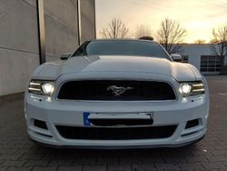 Weiß Gebraucht 2014 Ford Mustang Cabrio | 18.499 € (Etwas zu teuer)
