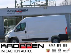 Weiss Neu 2025 Fiat Ducato Van | 35.490 € (Etwas zu teuer)