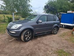 Grau Gebraucht 2017 Ssangyong (KGM) Rexton Sapphire SUV | 11.499 € (Superpreis)