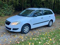 Weiß Gebraucht 2010 Skoda Fabia Cool Edition Kleinwagen | 2.900 € (Fairer Preis)