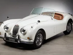 Weiß Gebraucht 1954 Jaguar XK Cabrio | 138.500 €