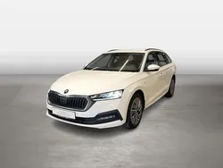 Candy weiss Gebraucht 2023 Skoda Octavia Ambition Kombi | 19.349 € (Guter Preis)