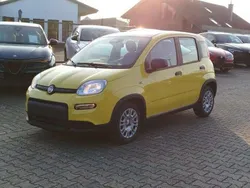 Gelb Neu 2024 Fiat Panda Kleinwagen | 15.990 €