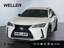 Andere Gebraucht 2022 Lexus UX SUV | 26.480 €