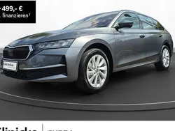Grau Neu 2025 Skoda Octavia Selection Kombi | 37.499 € (Fairer Preis)