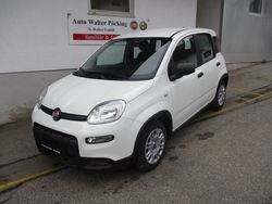 Colore esterno (weiss) Neu 2024 Fiat Panda Kleinwagen | 13.970 € (Guter Preis)