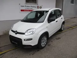 Colore esterno (weiss) Neu 2024 Fiat Panda Kleinwagen | 13.970 €