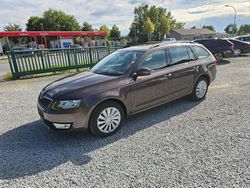 Braun Gebraucht 2014 Skoda Octavia Ambition Kombi | 9.950 € (Fairer Preis)
