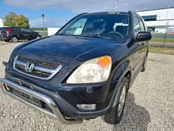 Schwarz Gebraucht 2002 Honda CR-V LS SUV | 1.999 € (Superpreis)