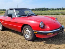 Rot Gebraucht 1987 Alfa Romeo Spider Cabrio | 12.000 €