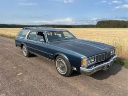 Blau Gebraucht 1989 Oldsmobile Custom Cruiser Kombi | 13.000 €