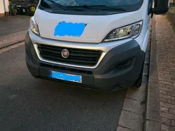 Weiß Gebraucht 2016 Fiat Ducato Van | 11.500 € (Guter Preis)