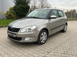 Grau Gebraucht 2011 Skoda Fabia Ambiente Kleinwagen | 2.490 € (Etwas zu teuer)