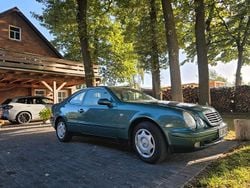 Grün Gebraucht 1999 Mercedes CLK200 Coupé | 3.199 € (Etwas zu teuer)
