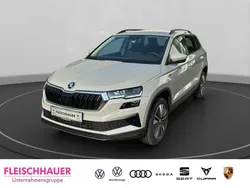 Steelgrau Neu 2025 Skoda Karoq Tour SUV | 39.990 € (Teuer)