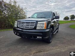 Schwarz Gebraucht 2005 Cadillac Escalade SUV | 11.900 € (Fairer Preis)