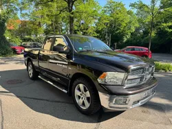 Braun Gebraucht 2011 Dodge Ram Abholung | 14.700 € (Superpreis)