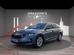 Graphite grey Gebraucht 2025 Skoda Octavia Selection Kombi | 32.490 € (Guter Preis)