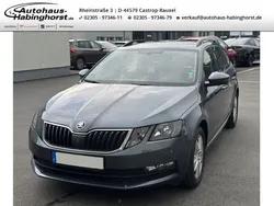 Grau Gebraucht 2017 Skoda Octavia Ambition Kombi | 13.490 € (Etwas zu teuer)