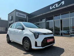 Weiß Gebraucht 2025 Kia Picanto 4 Kleinwagen | 14.899 € (Guter Preis)