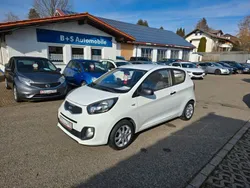 Weiß Gebraucht 2012 Kia Picanto Kleinwagen | 5.999 € (Teuer)